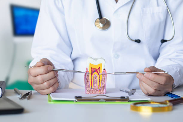 Best Emergency Orthodontic Repairs in Marion, SC